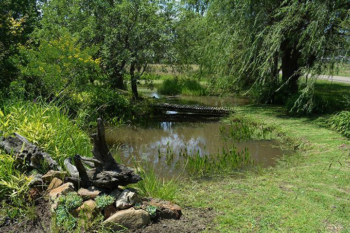 Toad Hall Guest House Wakkerstroom Экстерьер фото